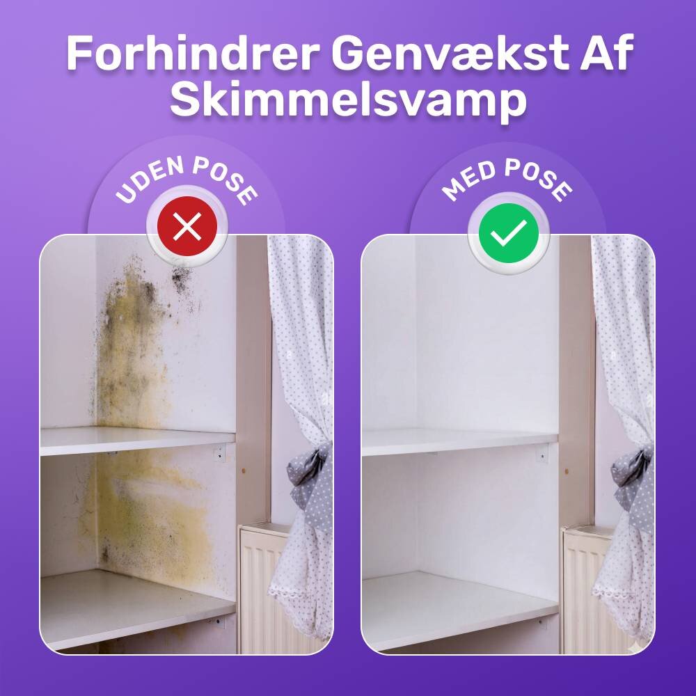 FizzClean image