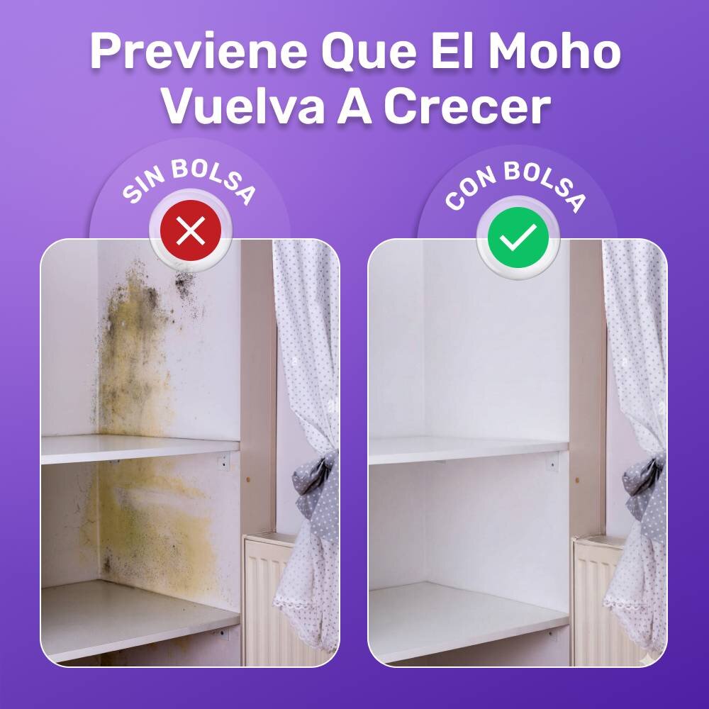 FizzClean image